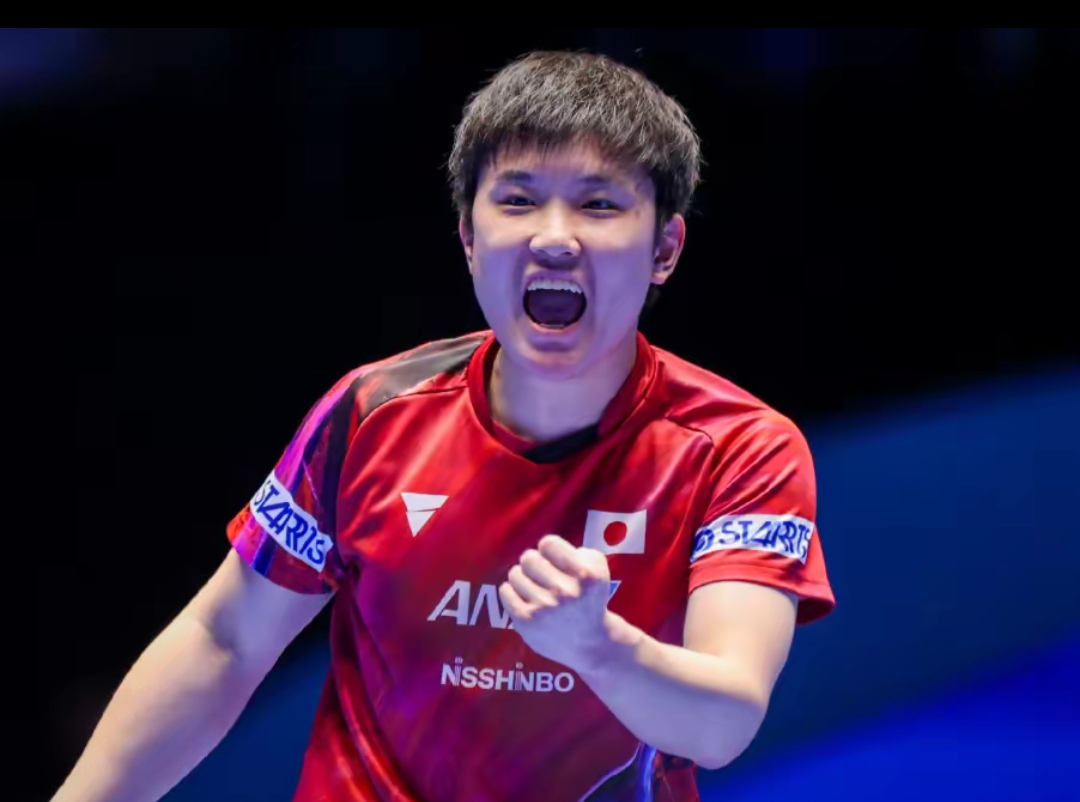 的角度来看 的角度来看