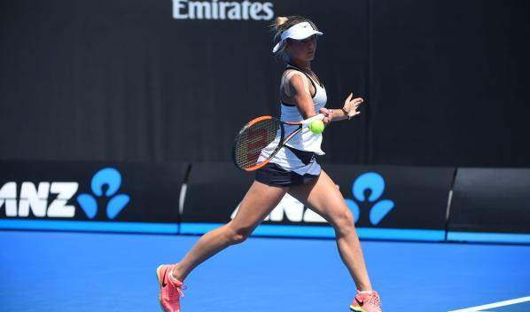 在过去一年 在过去一年